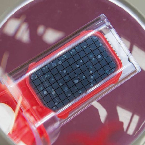 QWS Water Testing Red Samplers - Image 2