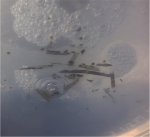 dental unit waterlines biofilm